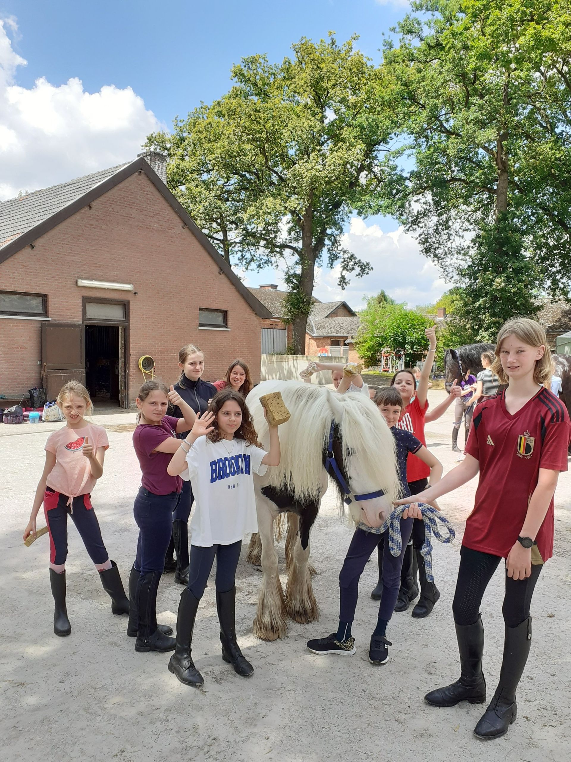 Jeugdcomité met een schimmelpony