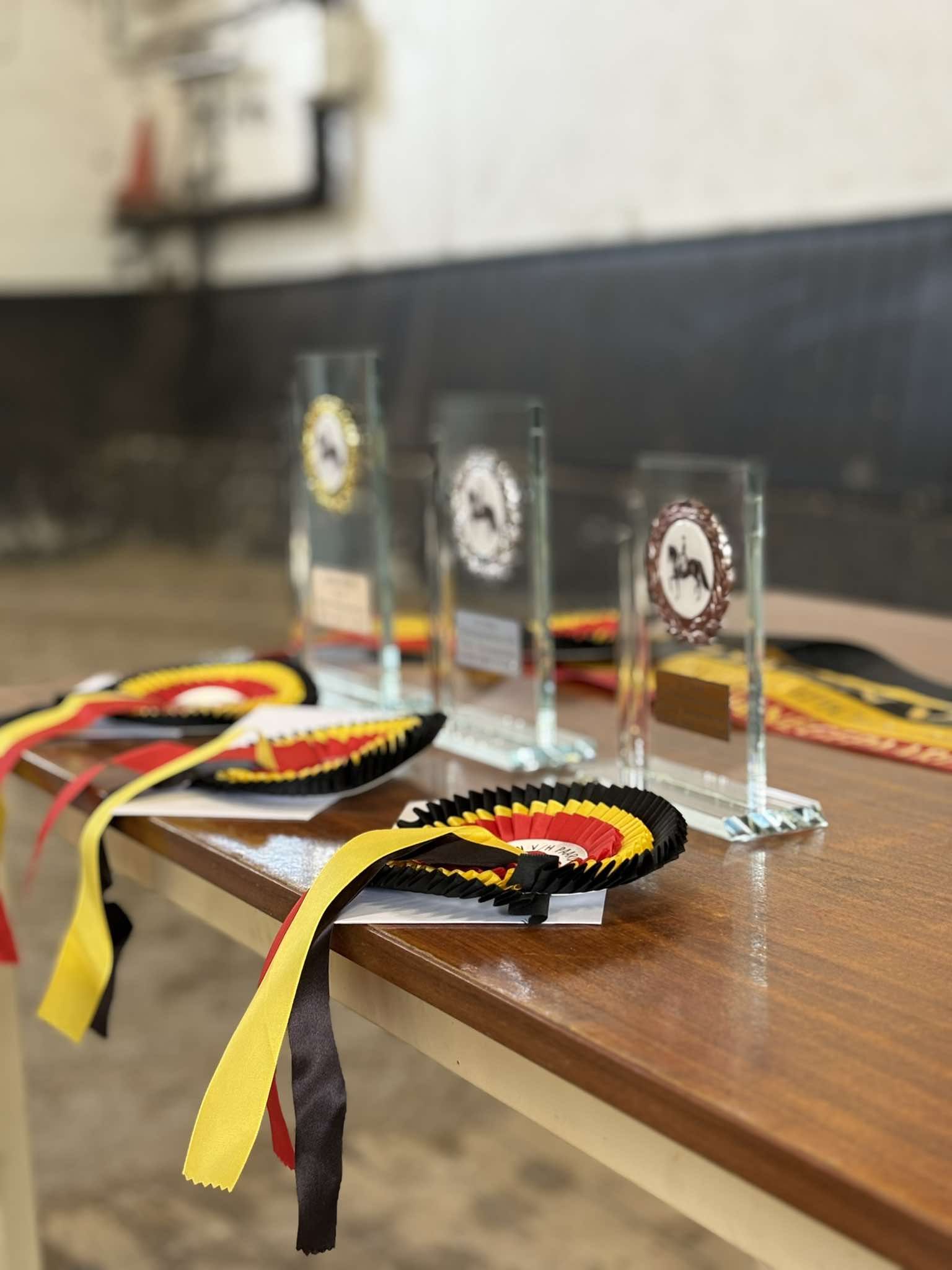 Rozetten en trofeeën voor de winnaars