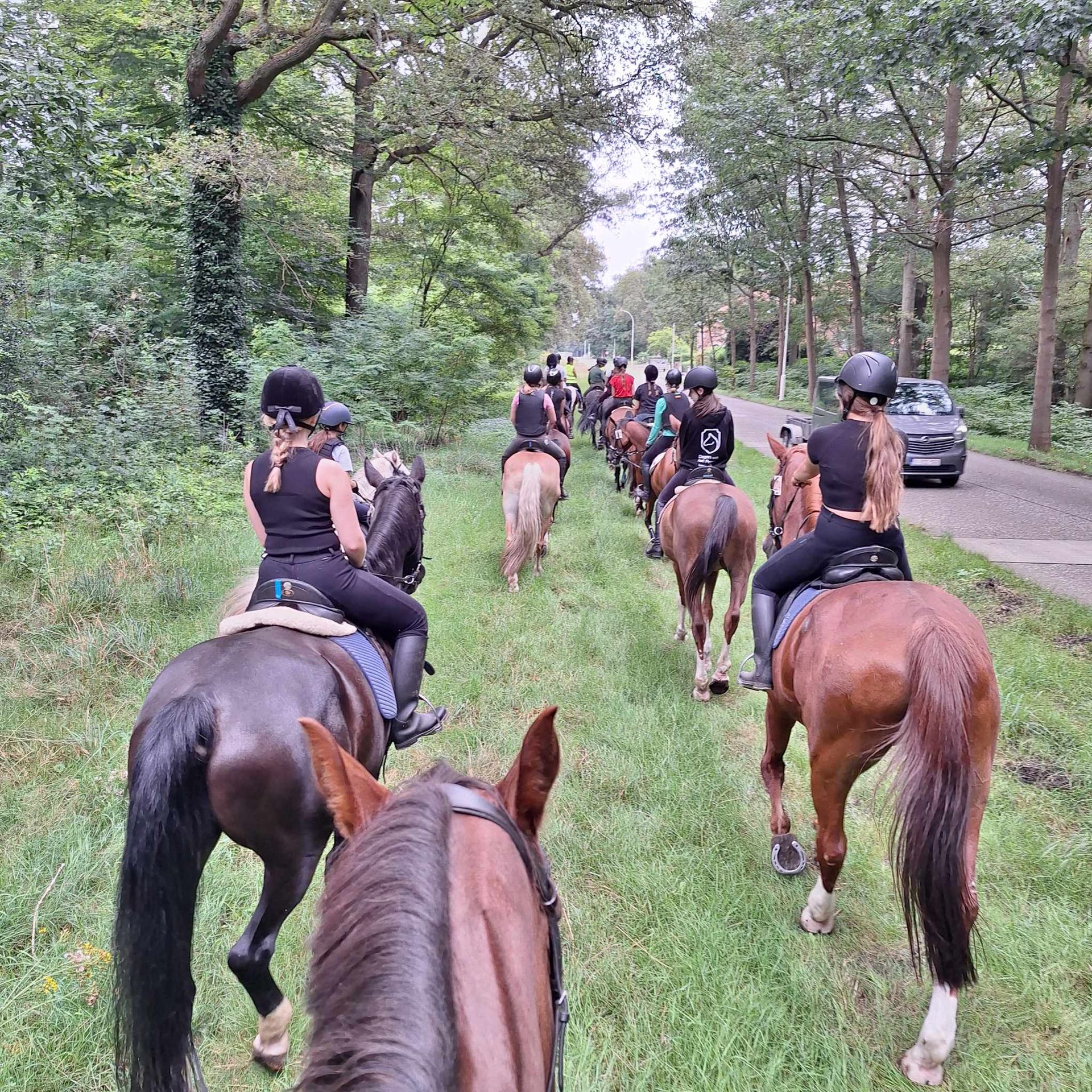 Buitenrit in groep over het militair domein
